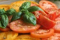 Tomatoes with basil Royalty Free Stock Photo