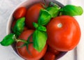 Tomatoes and basil