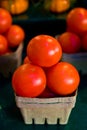 Tomatoes in a basket Royalty Free Stock Photo