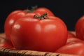 Tomatoes in basket closeup Royalty Free Stock Photo