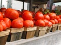 Tomatoes In Baskets