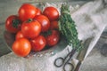 Tomatoes on a beautiful old metal plate with a thyme with a knife and scissors on a wooden table in a rustic style. Copy space. Royalty Free Stock Photo