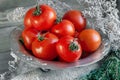 Tomatoes on a beautiful old metal plate with a thyme with a knife and scissors on a wooden table in a rustic style. Copy space. Royalty Free Stock Photo