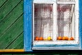 Tomatoes behind the window village house