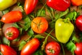 Tomatoes and bell peppers on a wooden table background Royalty Free Stock Photo