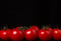 Tomatoes on a black background. Tomatoes on a vine on a dark background.