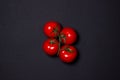 Tomatoes on a black background. Tomatoes on a vine on a dark background.