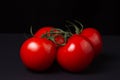 Tomatoes on a black background. Tomatoes on a vine on a dark background.