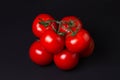 Tomatoes on a black background. Tomatoes on a vine on a dark background.