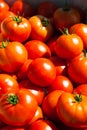 Tomatoes in a box Royalty Free Stock Photo