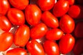 Tomatoes in a box Royalty Free Stock Photo