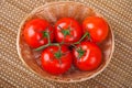 Tomatoes on branch Royalty Free Stock Photo