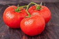 Tomatoes branch on a black wooden table with water droplets Royalty Free Stock Photo