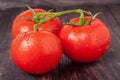 Tomatoes branch on a black wooden table with water droplets Royalty Free Stock Photo