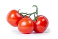 Tomatoes on a branch isolated on white background Royalty Free Stock Photo