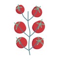 tomatoes in branch tree vegetable food icon isolated design