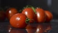 Ripe red tomatoes on a green brach in water drops on a black background