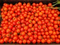 Tomatoes bulk bio red vegetables