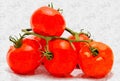 Tomatoes bunch oil painting Royalty Free Stock Photo