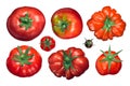 Tomatoes calyx up, top view, paths Royalty Free Stock Photo