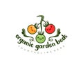 Tomatoes cartoon character on the stem, vegetables and food, logo design. Garden beds, organic farm and cherry tomatoes on a bran