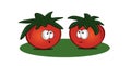 Tomatoes cartoon characters icons on white isolated background