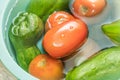 Vegetables in green bowl. Carrot, Chayot, Tomato, Ingredients, Salad.