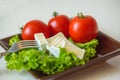 Tomatoes and cheese slices lie on a sheet of fresh salad Royalty Free Stock Photo
