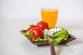 Tomatoes and cheese slices lie on a sheet of fresh salad in a plate. Royalty Free Stock Photo