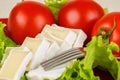 Tomatoes and cheese slices lie on a sheet of fresh salad in a plate Royalty Free Stock Photo