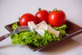 Tomatoes and cheese slices lie on a sheet of fresh salad Royalty Free Stock Photo