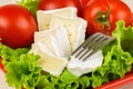 Tomatoes and cheese slices lie on a sheet of fresh salad in a plate. Royalty Free Stock Photo