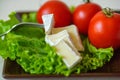 Tomatoes and cheese slices lie on a sheet of fresh salad. Royalty Free Stock Photo