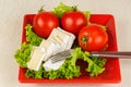 Tomatoes and cheese slices lie on a sheet of fresh salad in a plate. Royalty Free Stock Photo