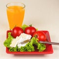 Tomatoes and cheese slices lie on a sheet of fresh salad in a re Royalty Free Stock Photo