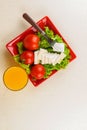 Tomatoes and cheese slices lie on a sheet of fresh salad in a red plate. A glass of orange juice stands side by side on the table. Royalty Free Stock Photo