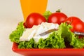 Tomatoes and cheese slices lie on a sheet of fresh salad in a red plate. A glass of orange juice stands side by side on the table. Royalty Free Stock Photo