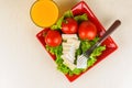 Tomatoes and cheese slices lie on a sheet of fresh salad in a red plate. A glass of orange juice stands side by side. Royalty Free Stock Photo