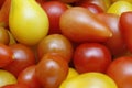 Tomatoes Royalty Free Stock Photo