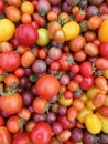 Tomatoes close up Royalty Free Stock Photo