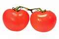 Tomatoes Royalty Free Stock Photo