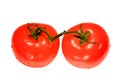 Tomatoes Royalty Free Stock Photo