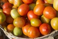 Tomatoes. Closeup of tomatoes in the market. Yellow and orange colors fruits background. Fresh and colorful fruit backgrounds.