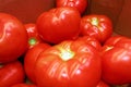 Tomatoes on the counter of the store Royalty Free Stock Photo