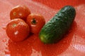 tomatoes and cucumber on a red background water droplets on the Royalty Free Stock Photo