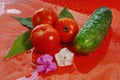 tomatoes and cucumber on a red background water droplets on the Royalty Free Stock Photo