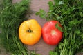 Tomatoes cucumbers cabbage radish dill and parsley on a table in the village Royalty Free Stock Photo