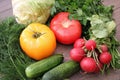 Tomatoes cucumbers cabbage radish dill and parsley on a table in the village Royalty Free Stock Photo