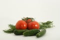 Tomatoes, cucumbers and herbs Royalty Free Stock Photo
