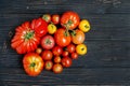Tomatoes of different size and color Royalty Free Stock Photo